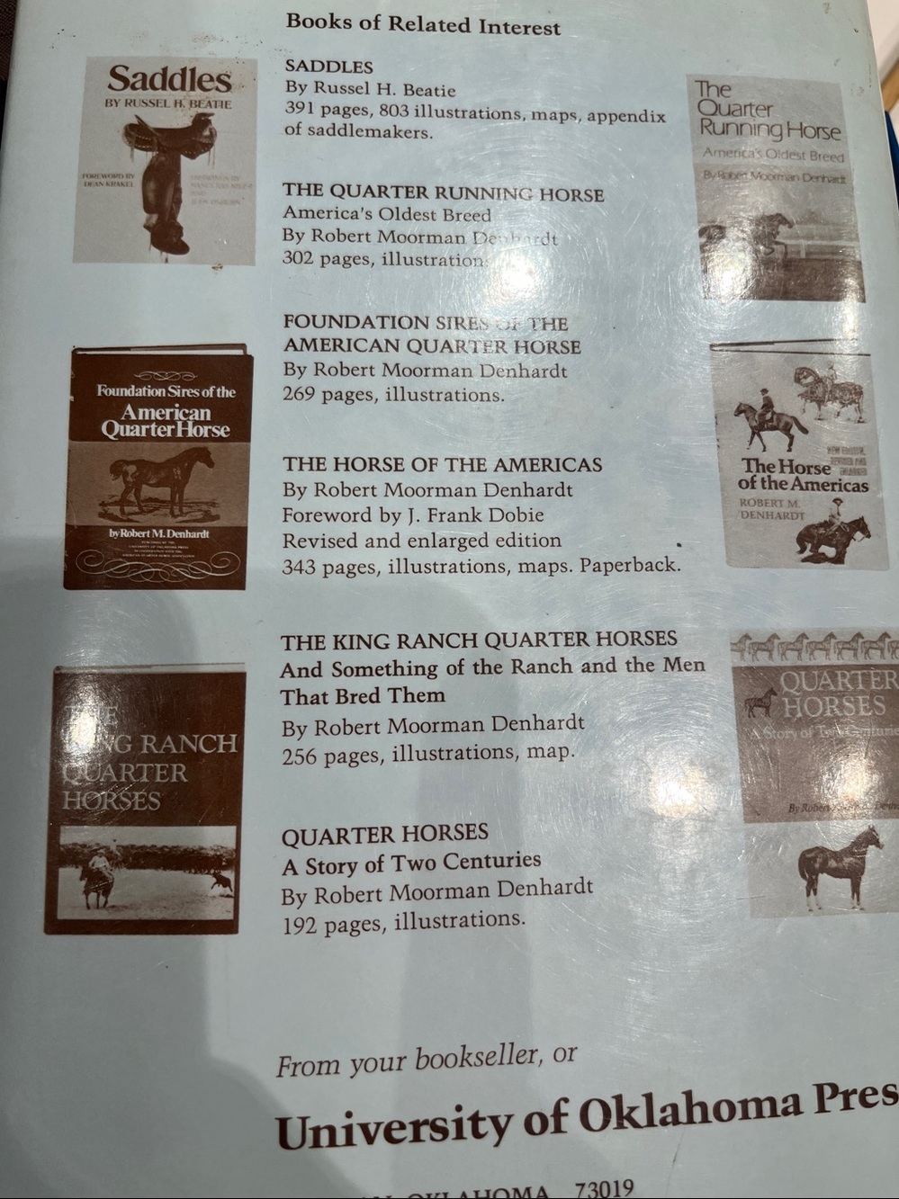 Step-by-Step for Horse and Rider Teaching Riding Book - Picture 2 of 4